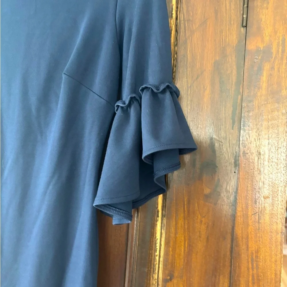 Banana Republic size 0 petite navy blue boatneck ruffle sleeve shift
